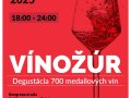 Vino-Bojnice-plagat