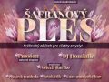 SAFRANOVY-PLES-2026-scaled